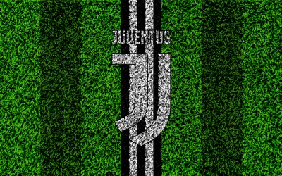 熊猫体育-“这里像家”