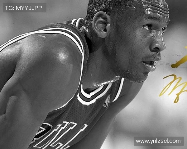 雷迪克获祝贺，贝弗利推特发声引发猜测：有内幕信息吗？(贝雷蒂尼特点)