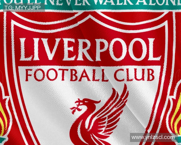 米特罗维奇训练中受伤细节披露