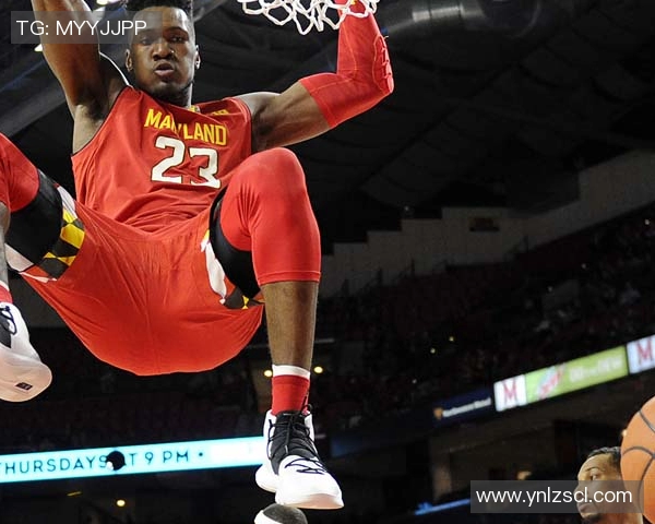 恩佐与卡塞多谁更重要