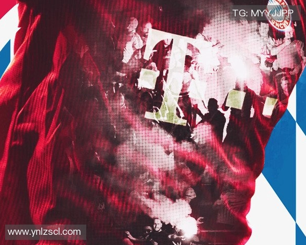 科斯蒂奇国家队队长职责